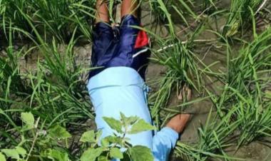 Lagi, Petani jatim jadi korban sengatan listrik jebakan tikus