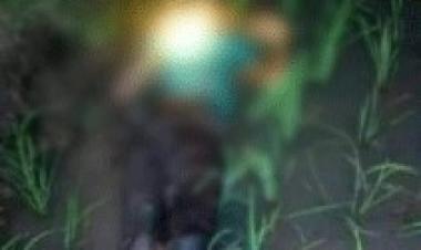 Lagi , Jebakan tikus memakan korban jiwa.