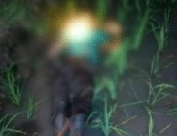 Lagi , Jebakan tikus memakan korban jiwa.