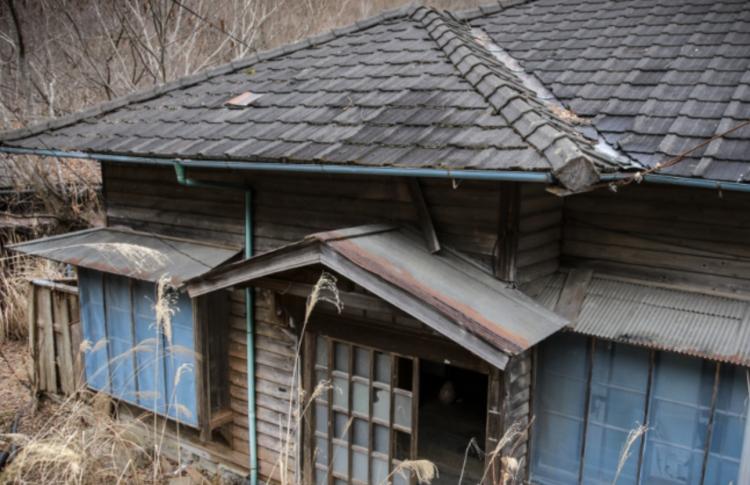 Para Pemuda Jepang Tidak Menikah ditengah Krisis Populasi, Mengapa?.