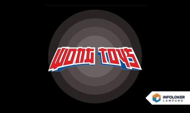 Loker Desain Grafis Wong Toys • Bandar Lampung, Kota Bandar Lampung