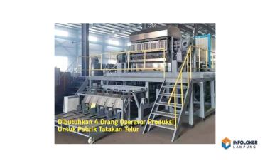 Dibutuhkan 4 Orang Operator Produksi Untuk Pabrik Tatakan Telur Rajabasa, Bandar Lampung Kota, Lampung