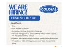 Lowongan Content Creator baru di Colosal, Bandar Lampung