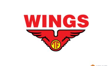 PT Sayap Mas Utama (WINGS Group) sedang membuka lowongan pekerjaan untuk posisi Salesman.