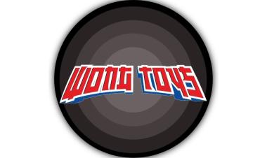 Lowongan Kerja Sebagai Shopkeeper di Wong Toys  Metro, Lampung