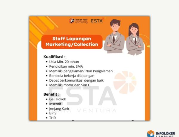 Lowongan Kerja untuk posisi Staff Lapangan Marketing/Collection di ESTA Ventura, Lampung