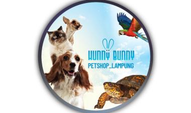 Lowongan kerja untuk posisi Shop Admin di Hunny Bunny Klinik Hewan & Petshop, Bandar Lampung