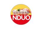 Lowongan pekerjaan untuk posisi karyawan di Nduo Sushi Metro, lampung